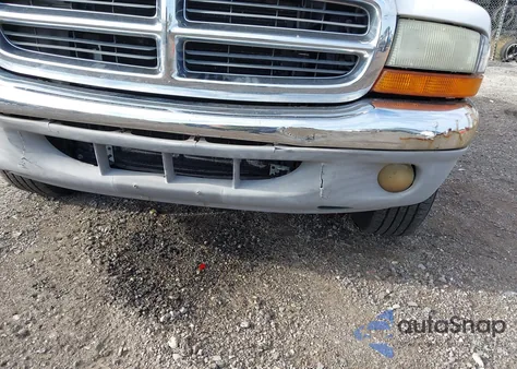 2004 Dodge Dakota Slt from USA, damaged, VIN 1D7HL48N94S542084